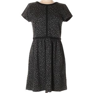 LOFT | Grey + Black Leopard Print A-Line Dress